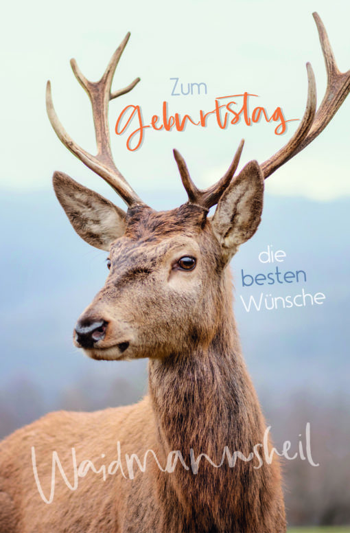50 Geburtstagskarten – Bild 2