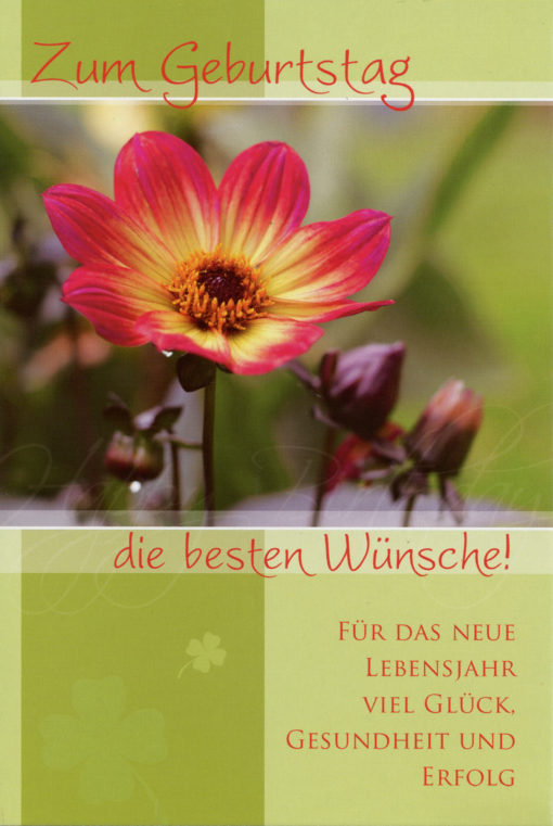 50 Geburtstagskarten mit Sprüche – Bild 6
