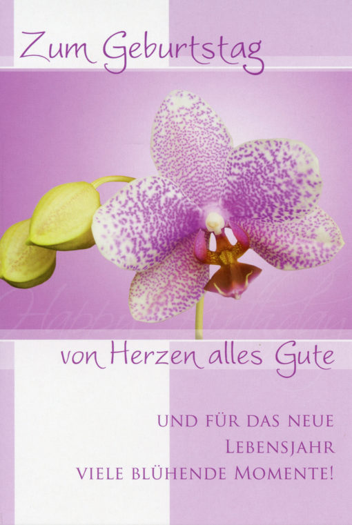 50 Geburtstagskarten mit Sprüche – Bild 3