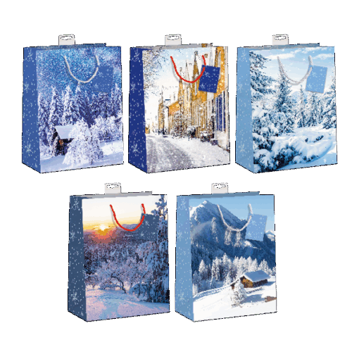 10 Weihnachtstüten groß