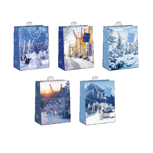 10 Weihnachtstüten mittel