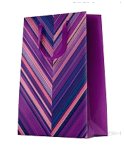 12 Geschenktüten mittel "Stripes-4"