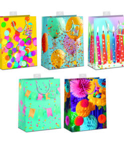 10 Geschenktüten groß