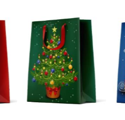 12 Weihnachtstüten mittel "Holiday Colors-2"